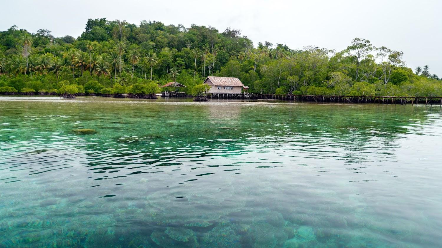 Cover Image for Nyanse Homestay