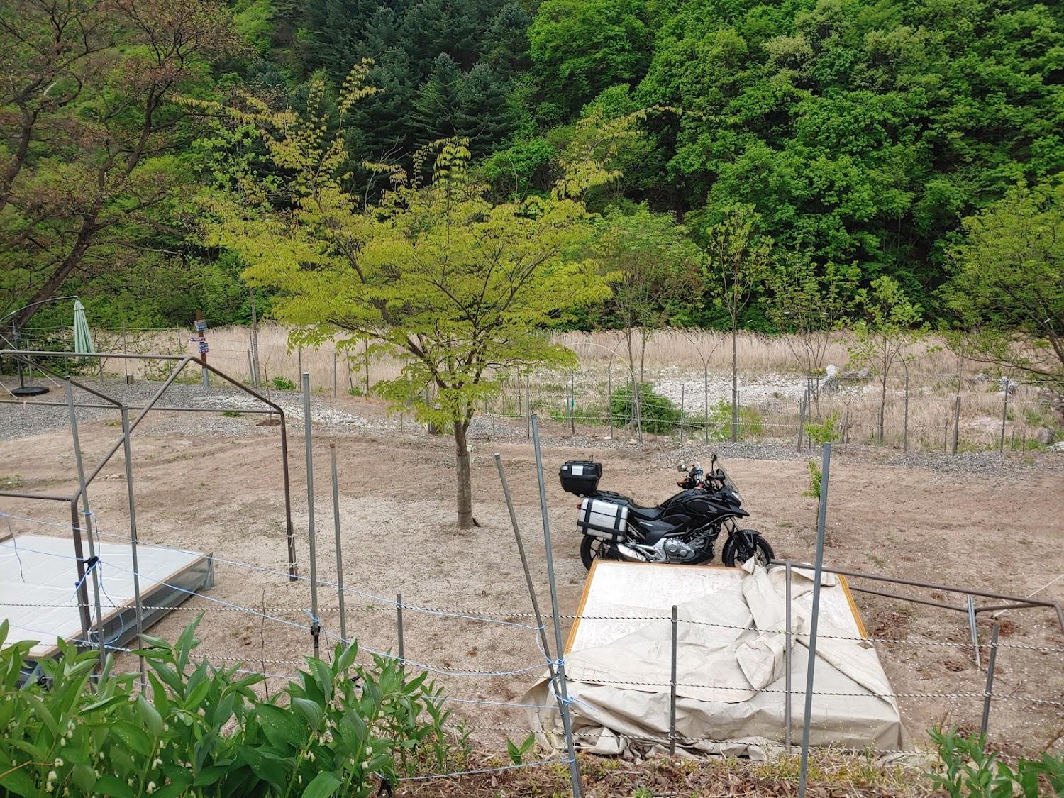 Cover Image for 가평베이스캠프펜션