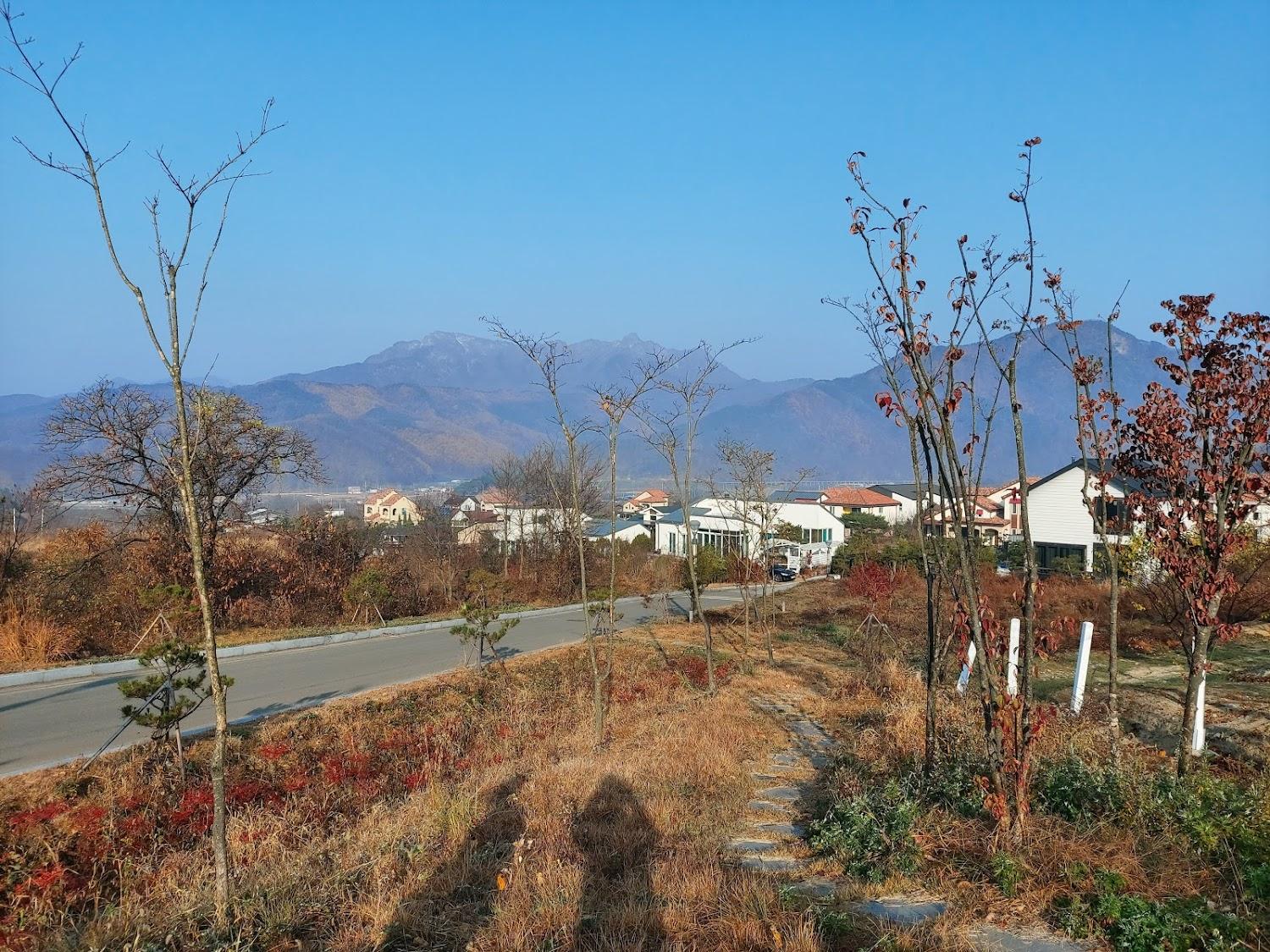 Cover Image for 수피아펜션