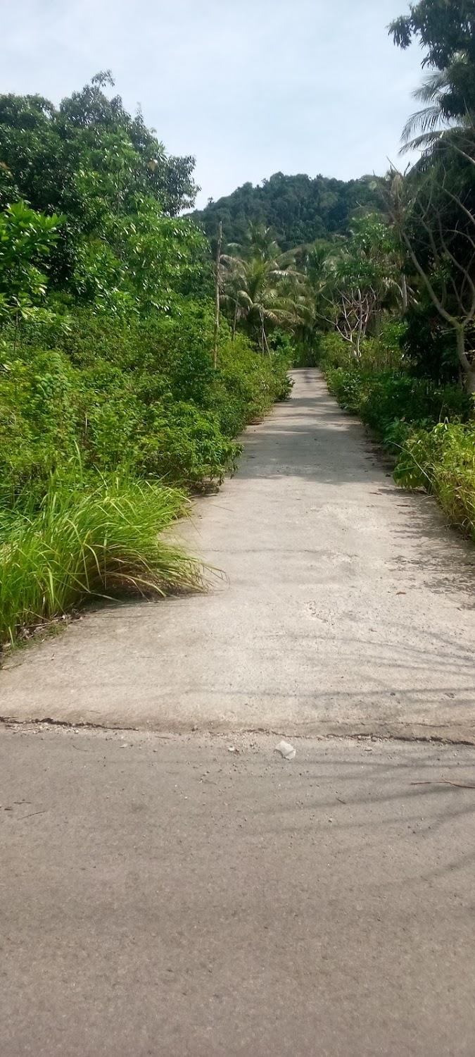 Cover Image for Coco jungle guest house