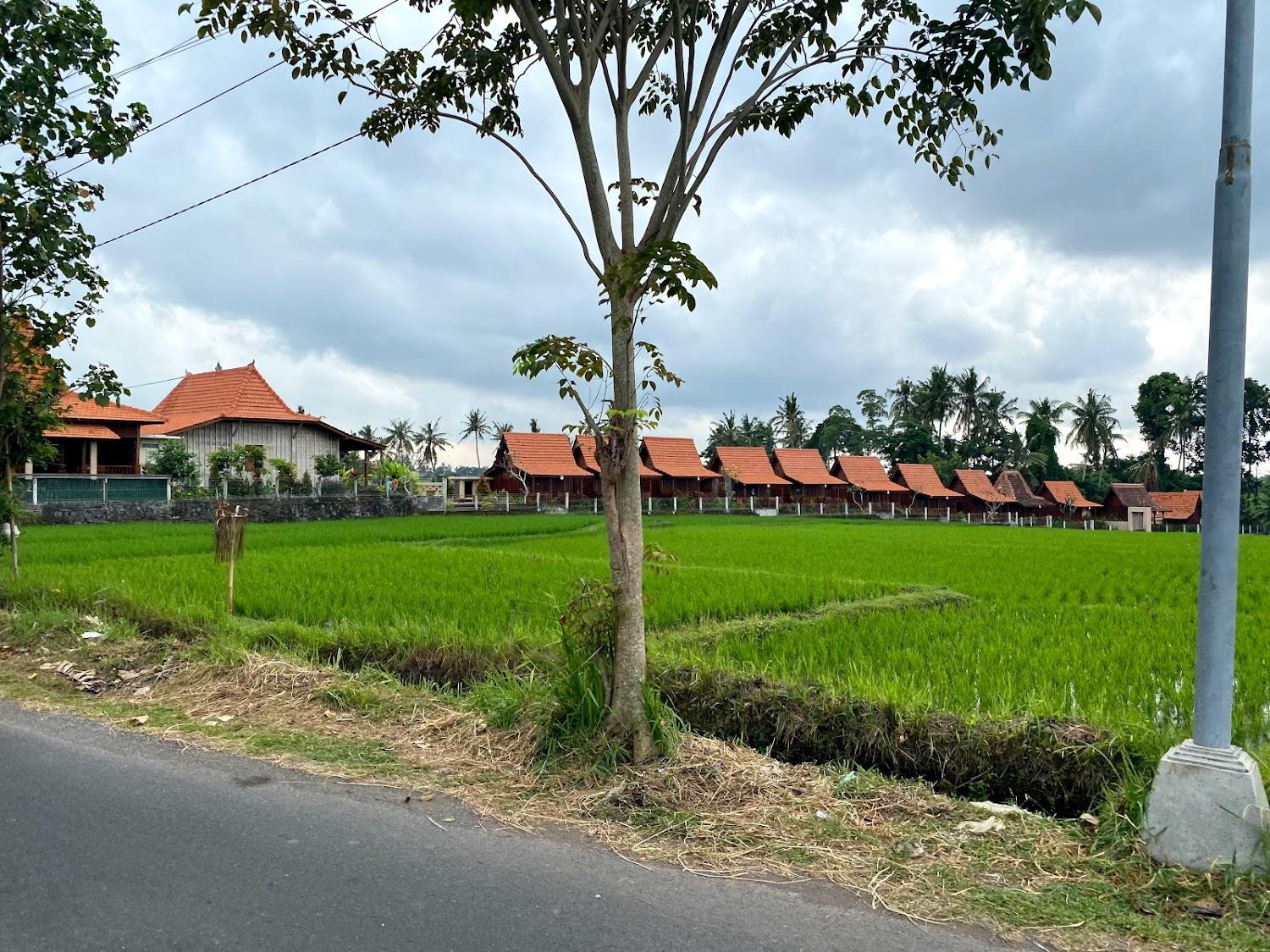 Cover Image for Victory Munggu