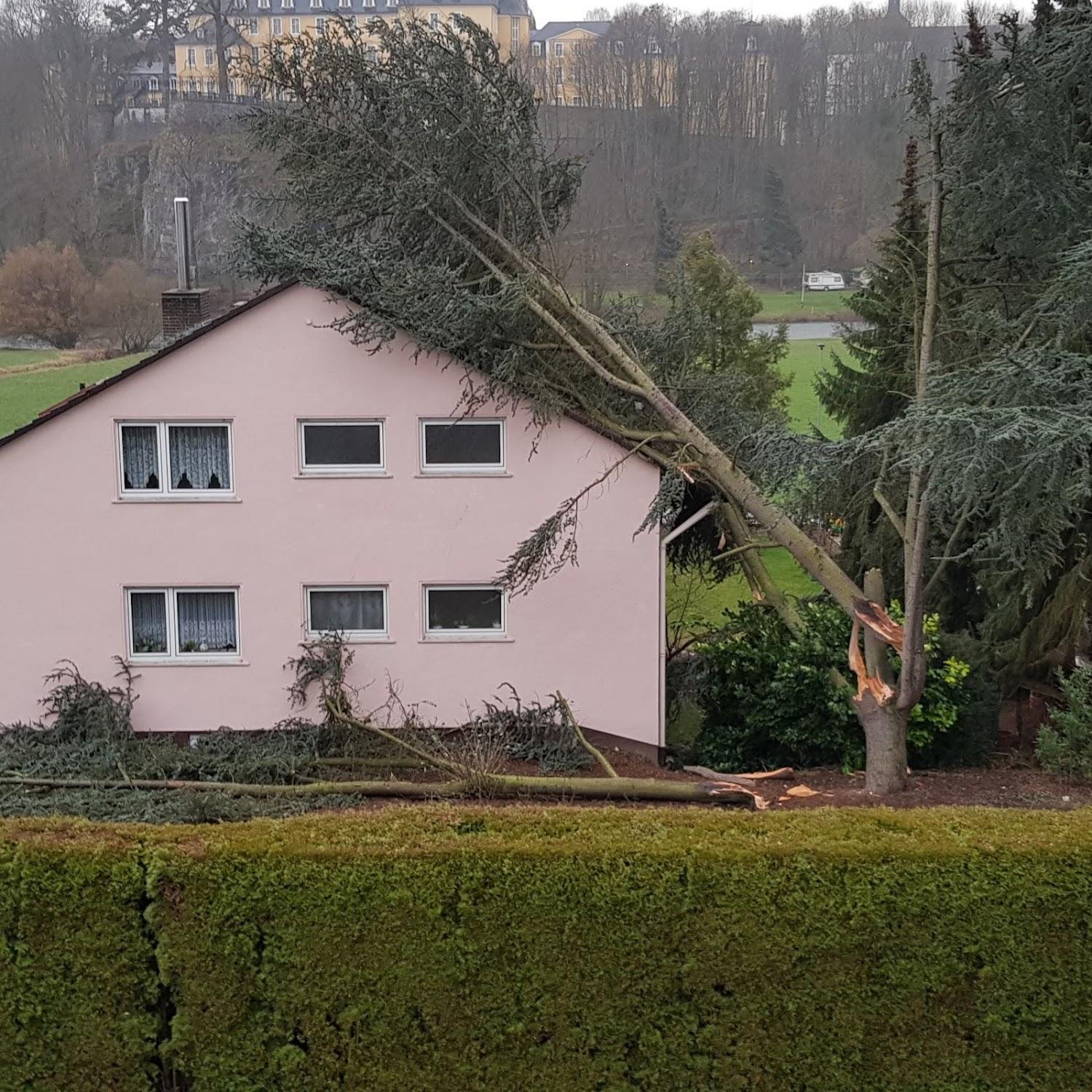 Cover Image for Pension Schlossblick
