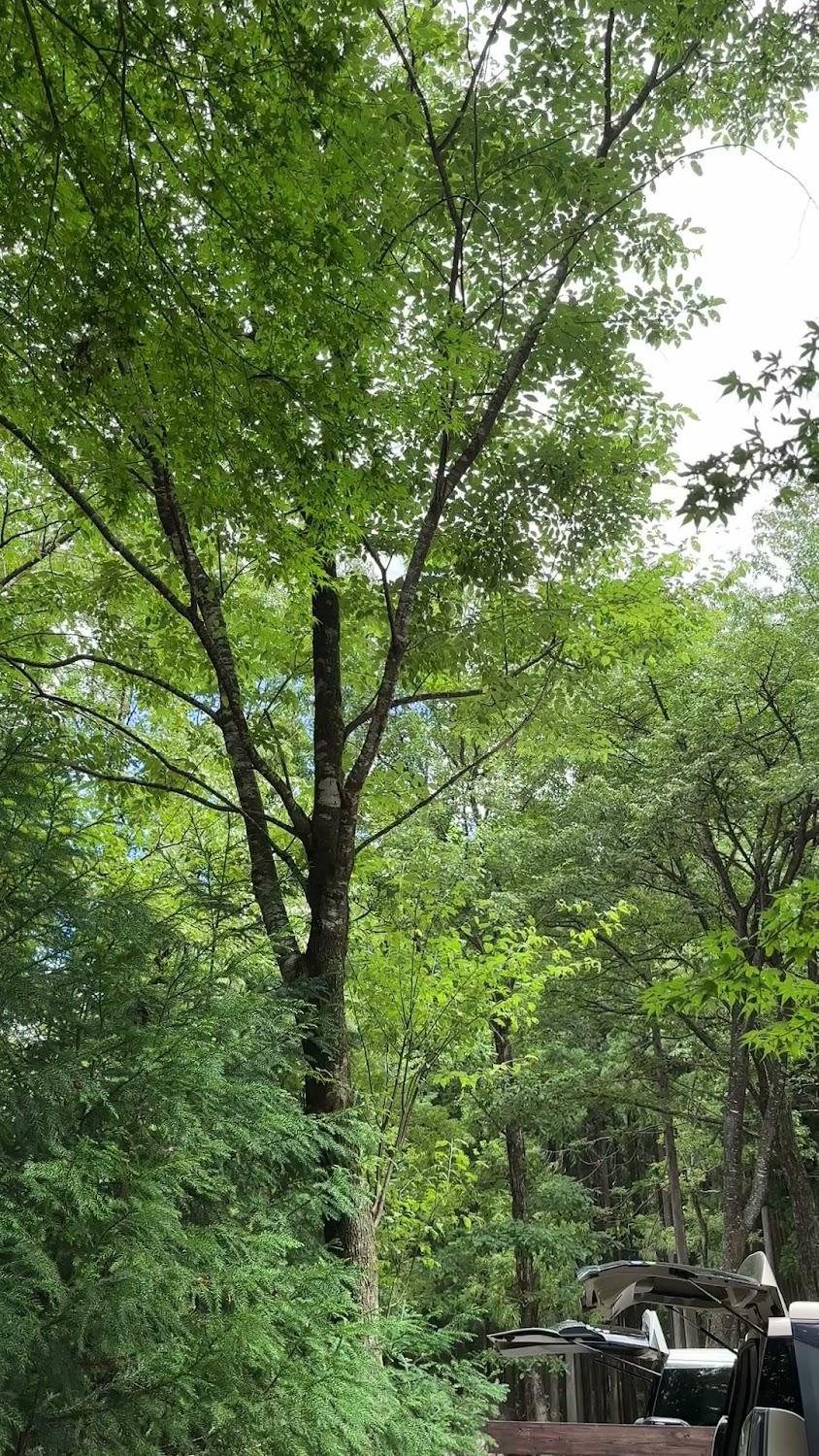 Cover Image for Meiho Camping Ground
