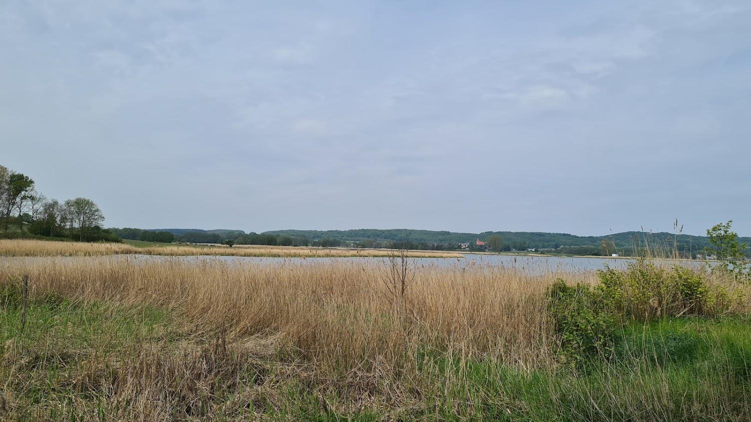 Cover Image for Ferienwohnungen Am Neuensiener See
