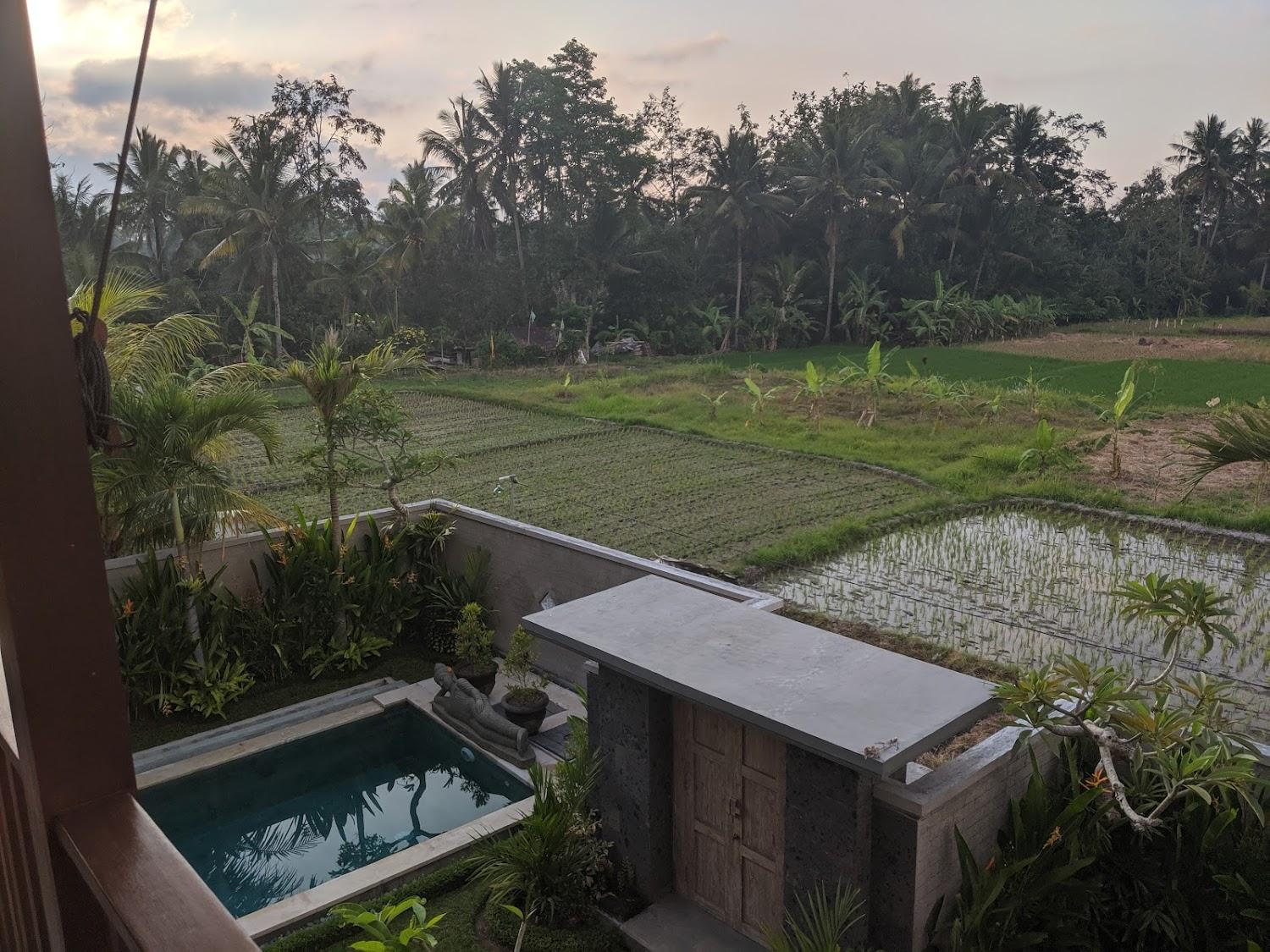 Cover Image for Villa tenang Ubud