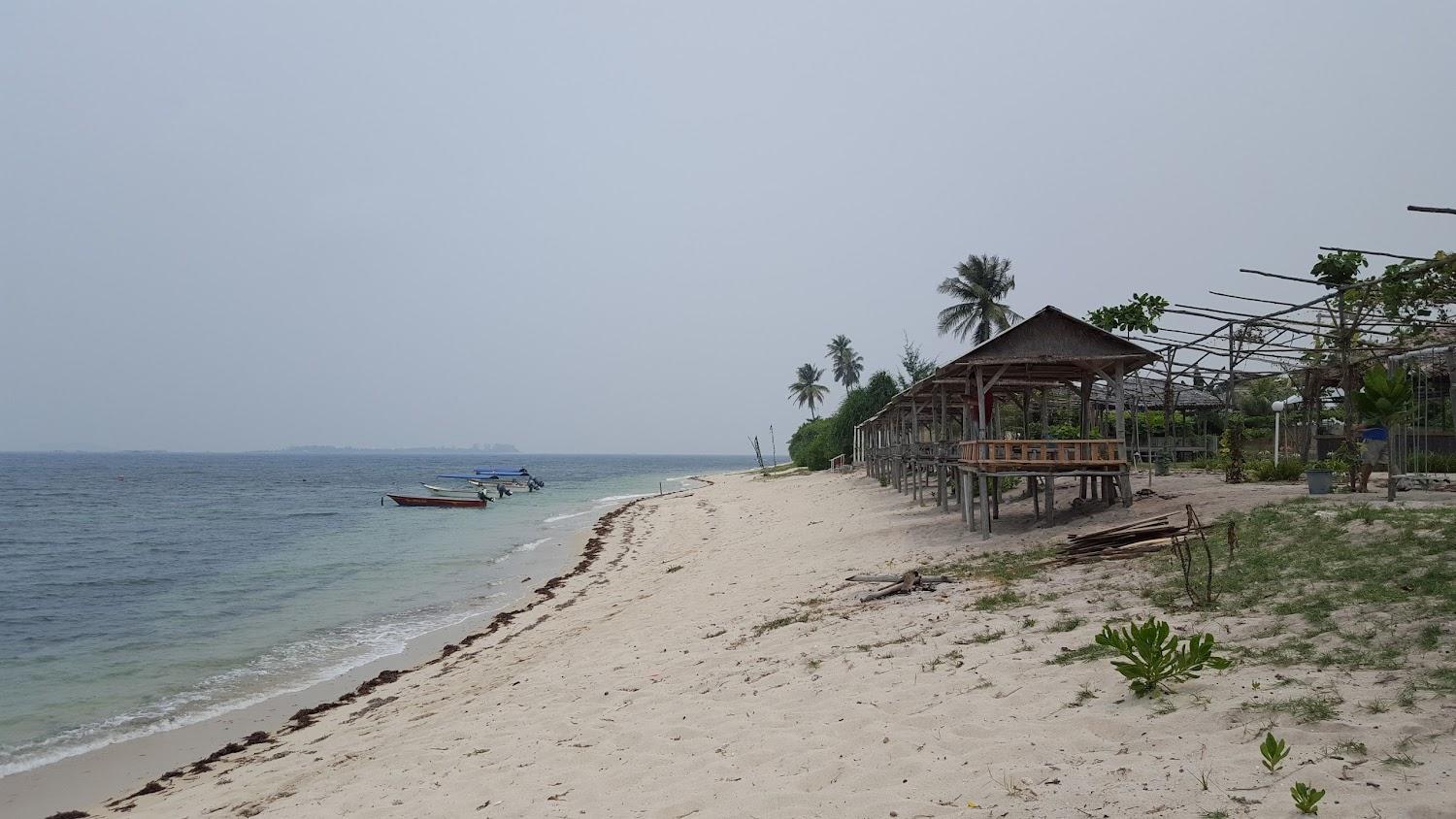 Cover Image for Shady Shack