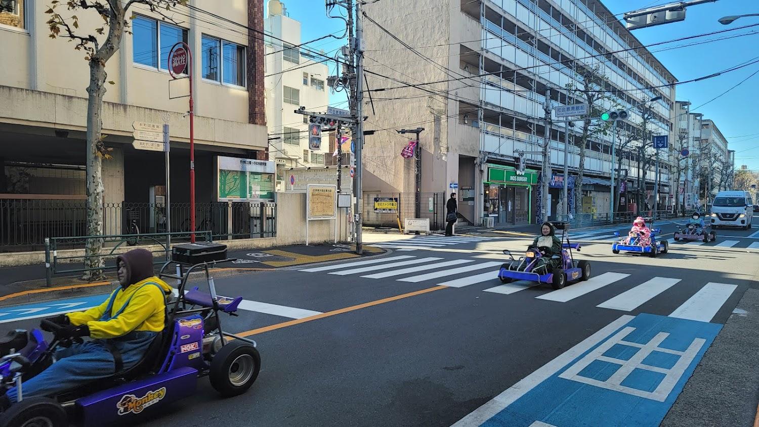 Cover Image for Luana Shibuya