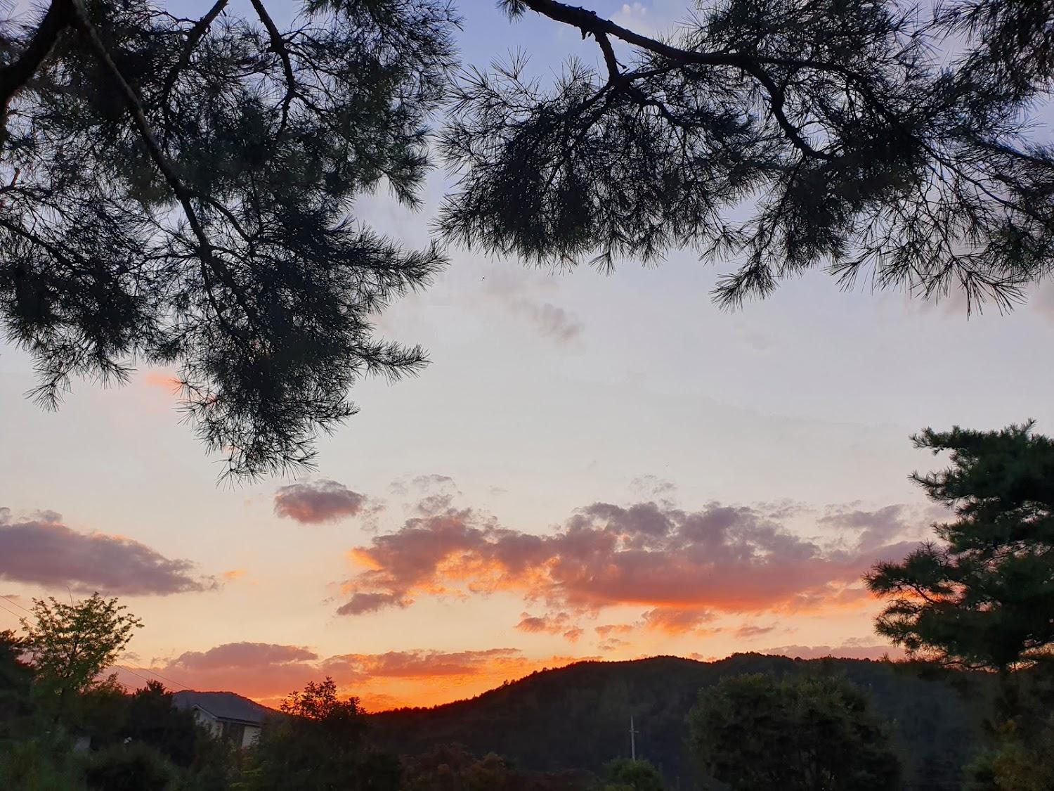 Cover Image for 솔향펜션