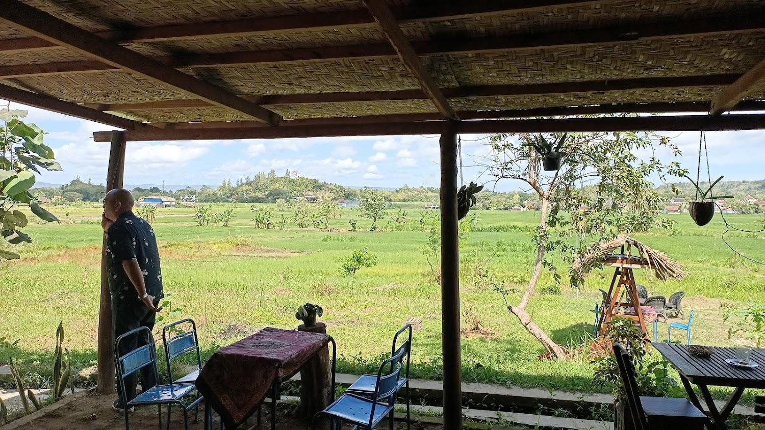 Cover Image for TheSawah