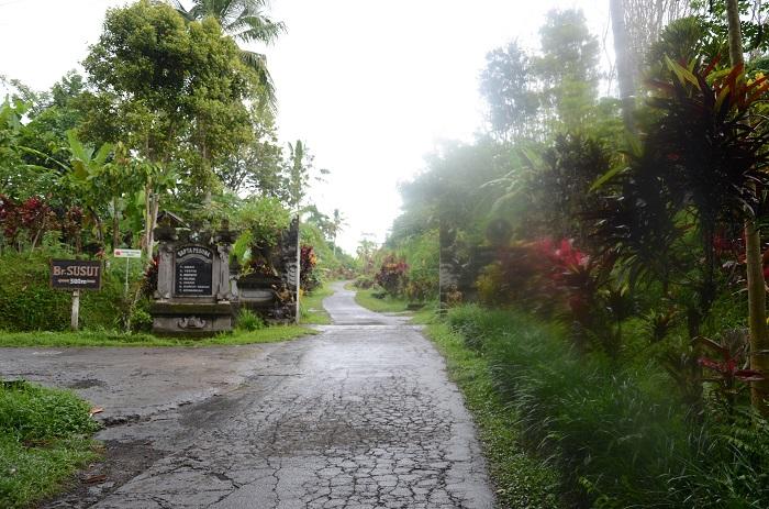 Cover Image for Bali Organic Village