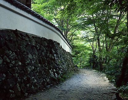 Cover Image for Kinsuitei