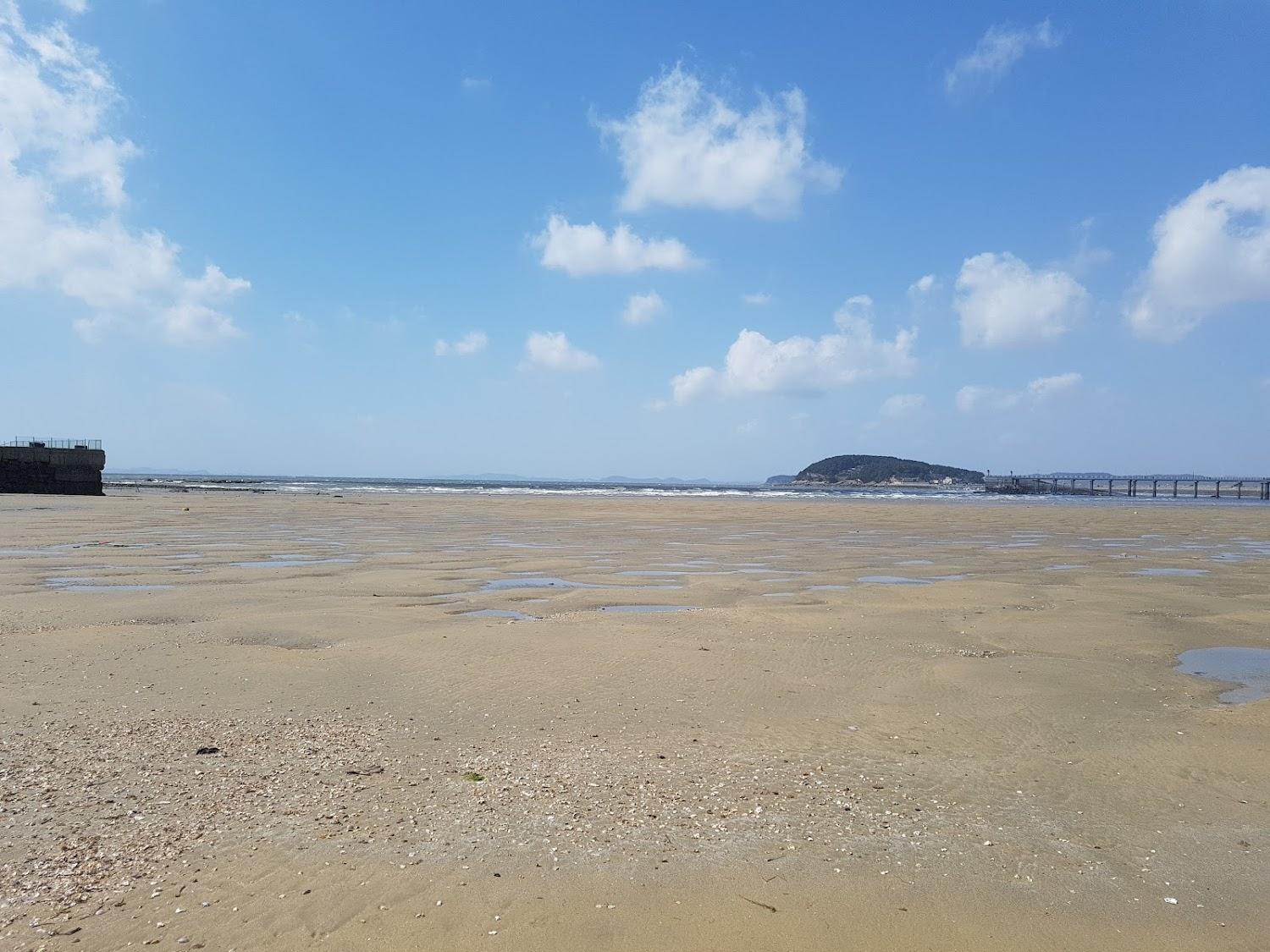Cover Image for 보령머드펜션