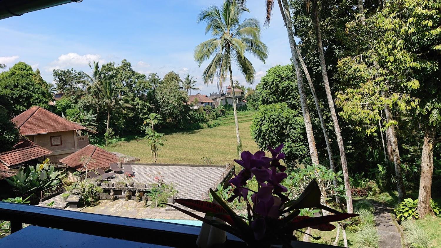 Cover Image for Cempaka Belimbing Villas