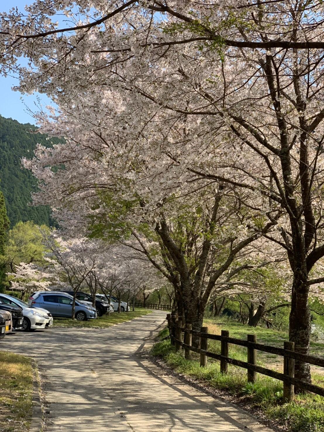 Cover Image for Ogawanosato Auto Camping Ground