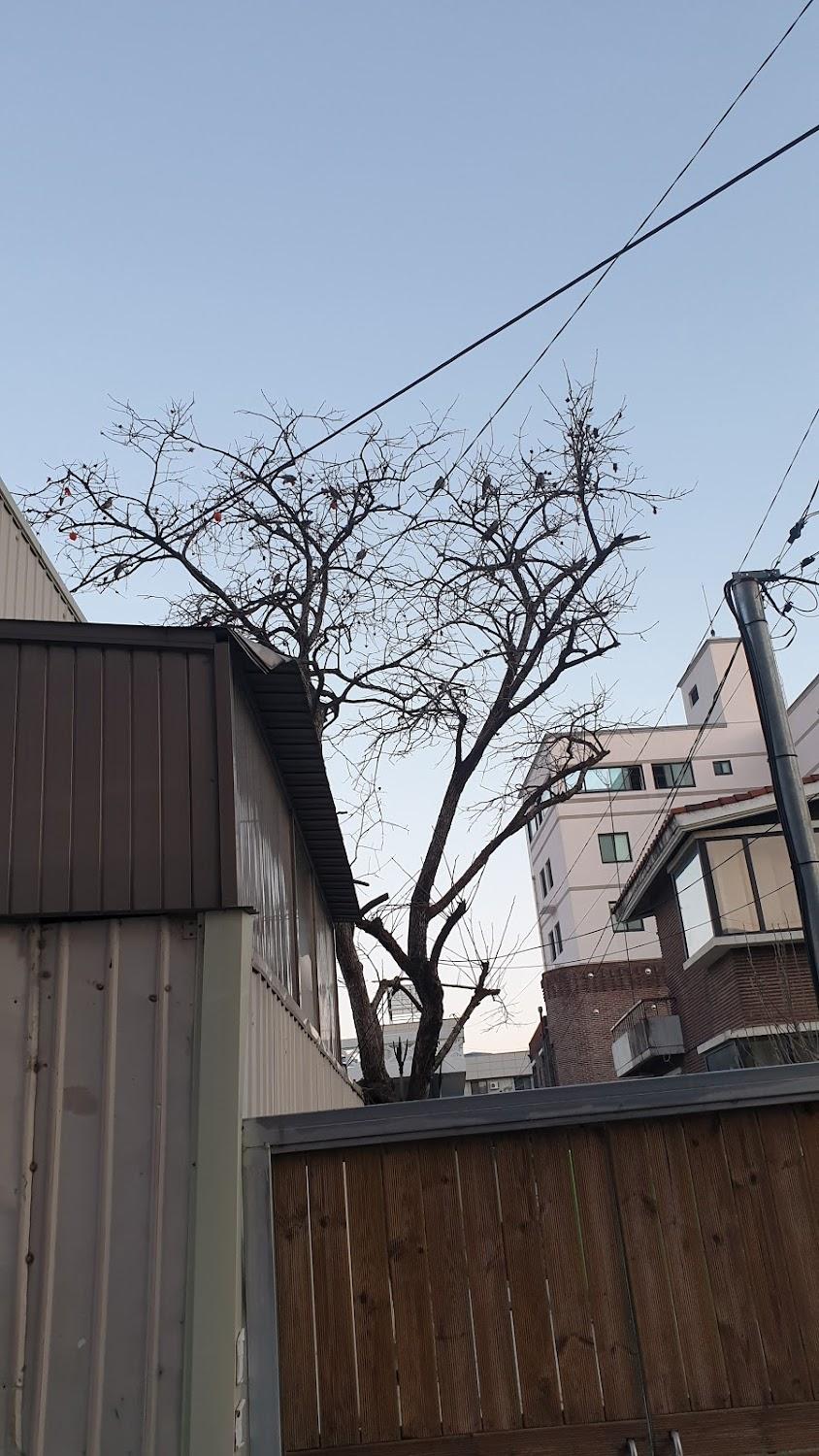 Cover Image for 모텔테마