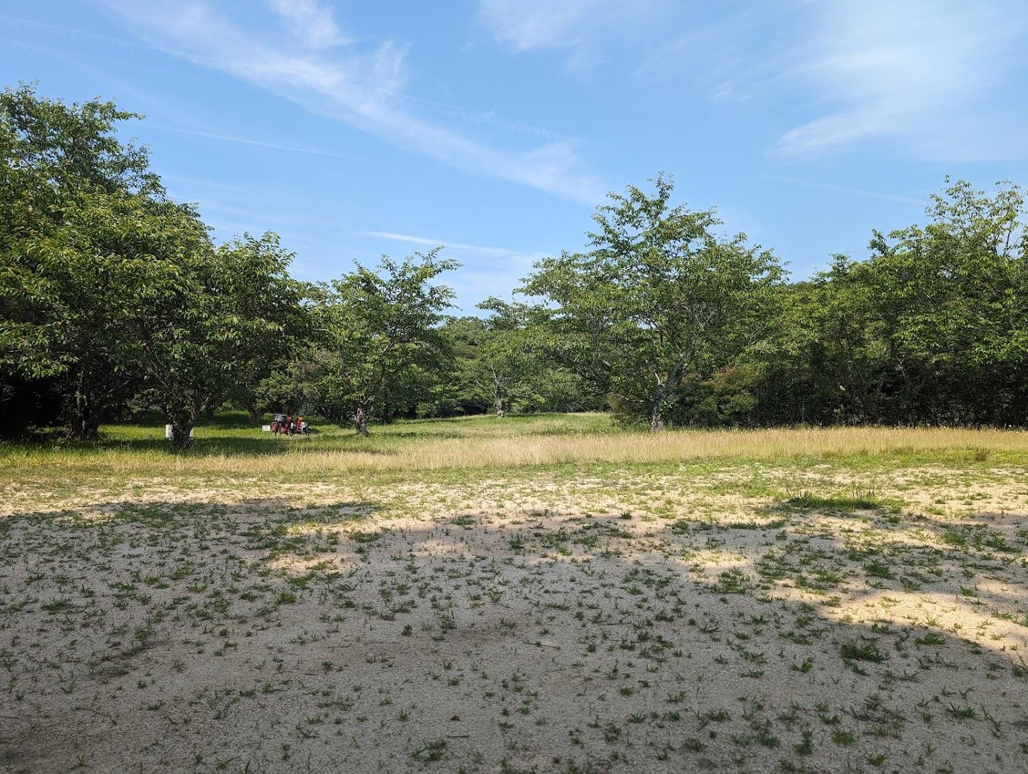Cover Image for Hirata Forest Park Camping Ground