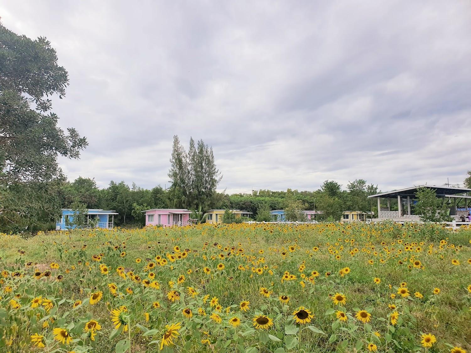 Cover Image for Phalagoon Natural Resort