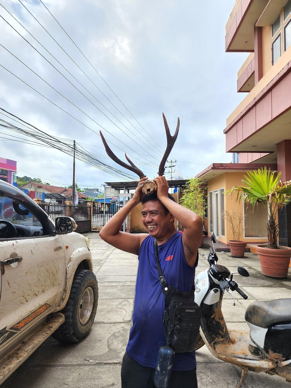 Cover Image for Hotel Fujita Papua