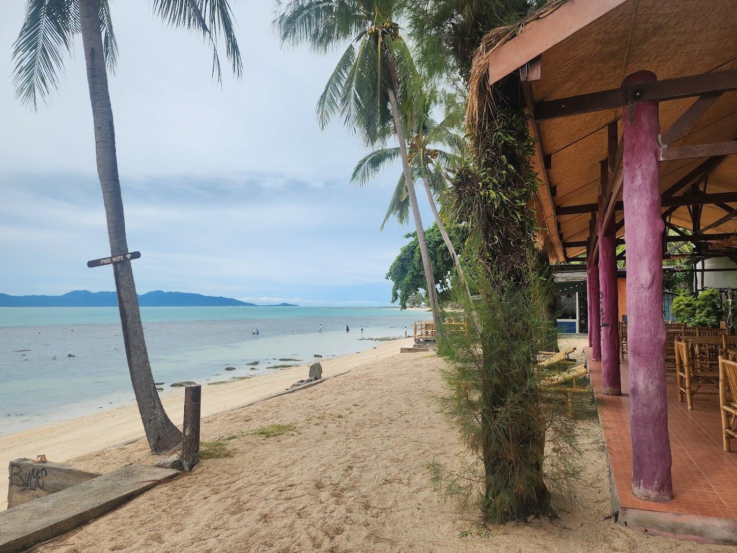 Cover Image for By Beach Resort