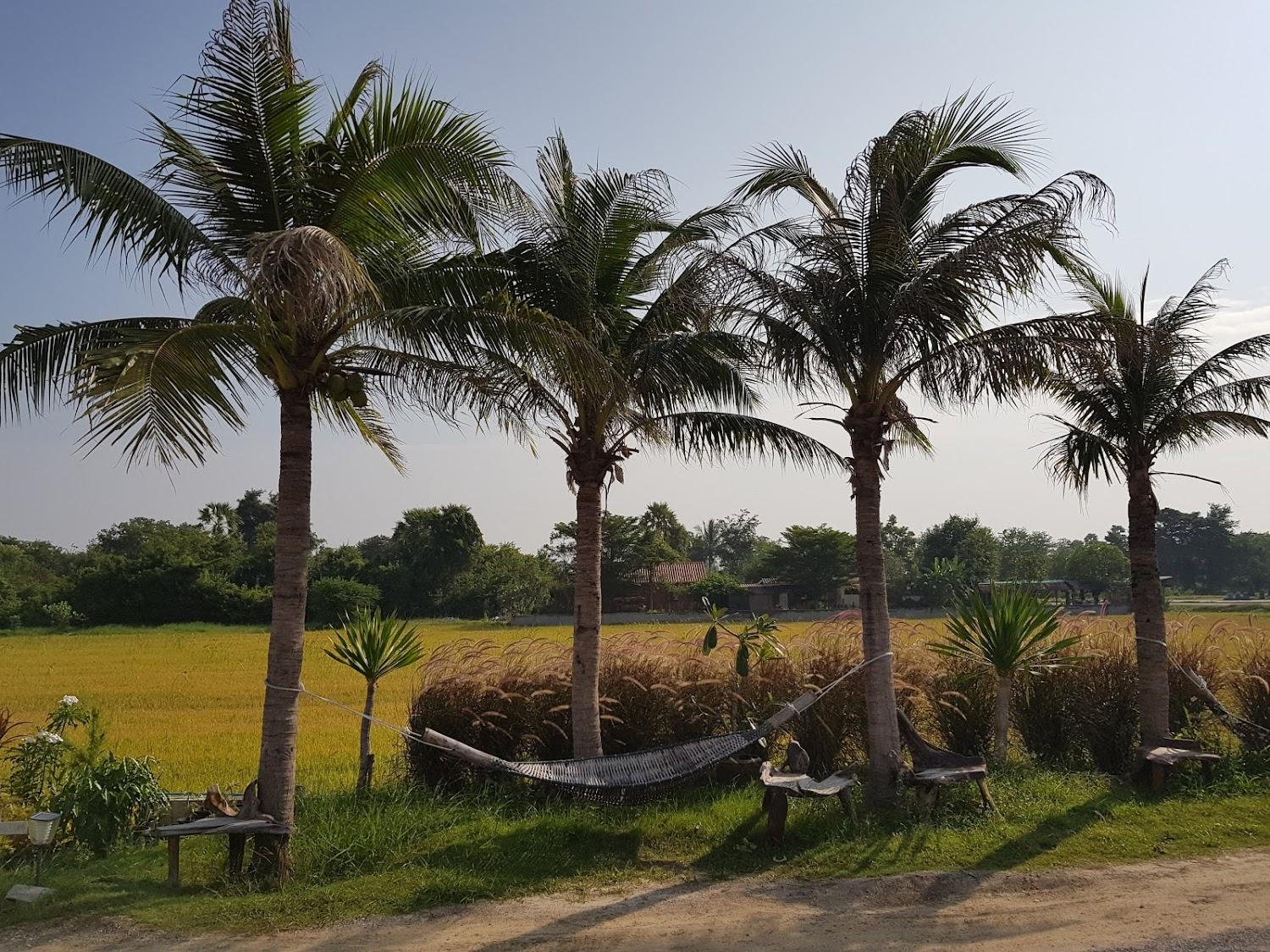 Cover Image for Pimchanok Resort