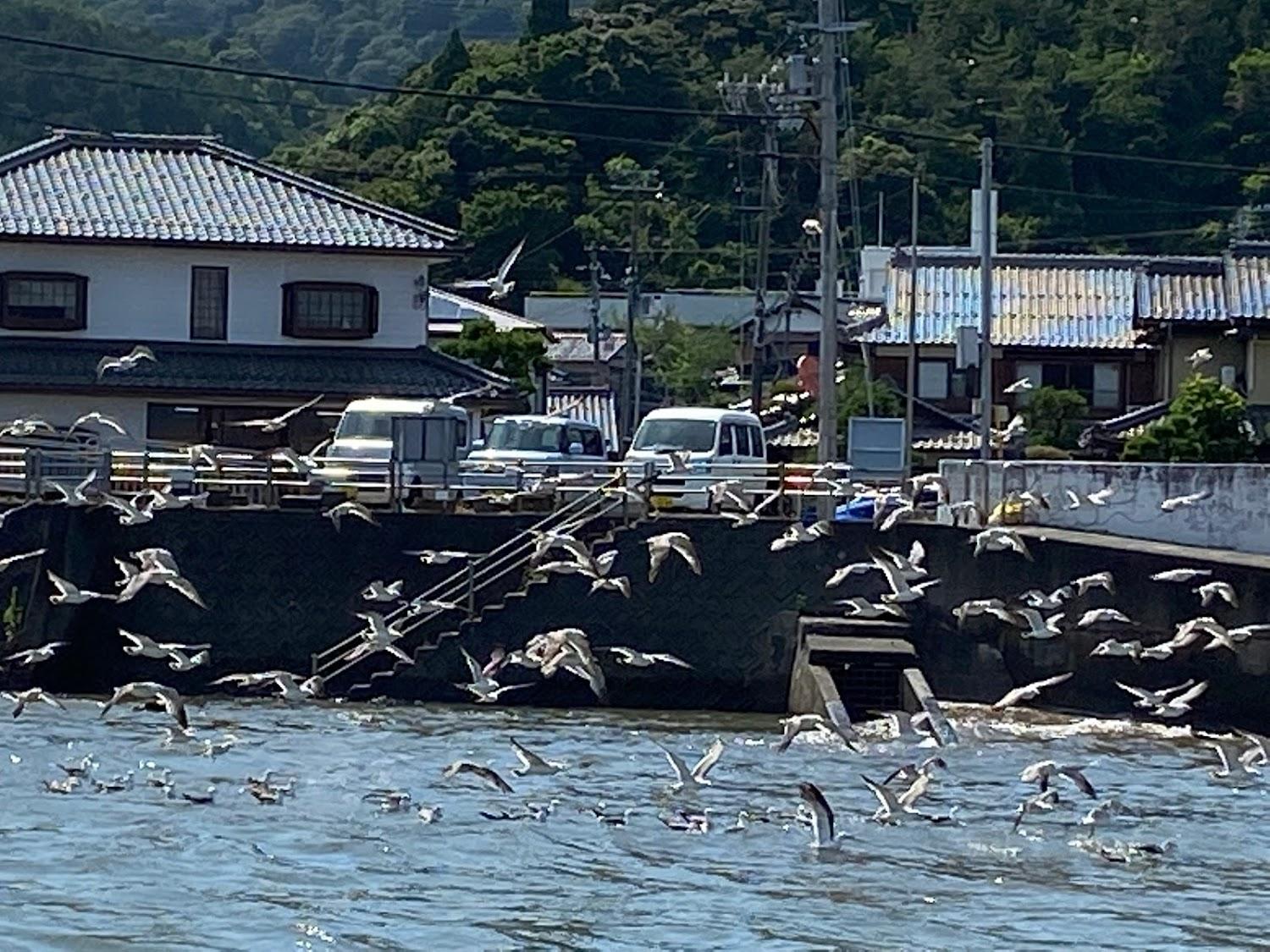 Cover Image for Otani
