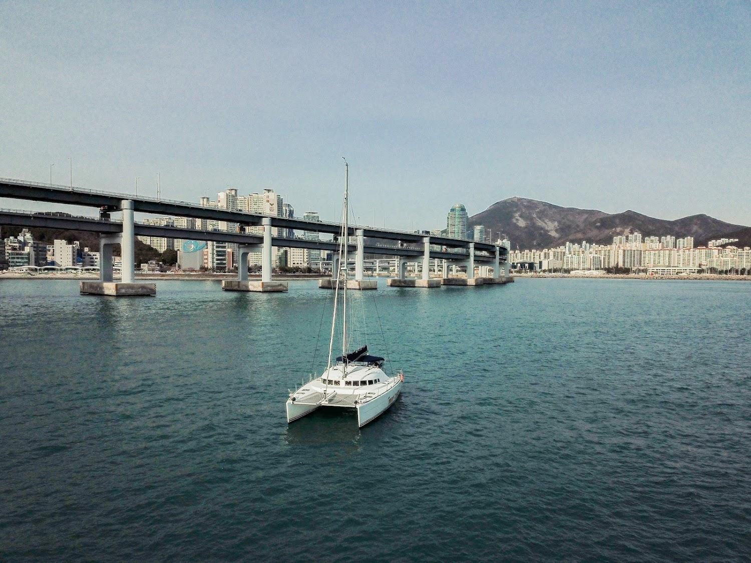Cover Image for 와우요트