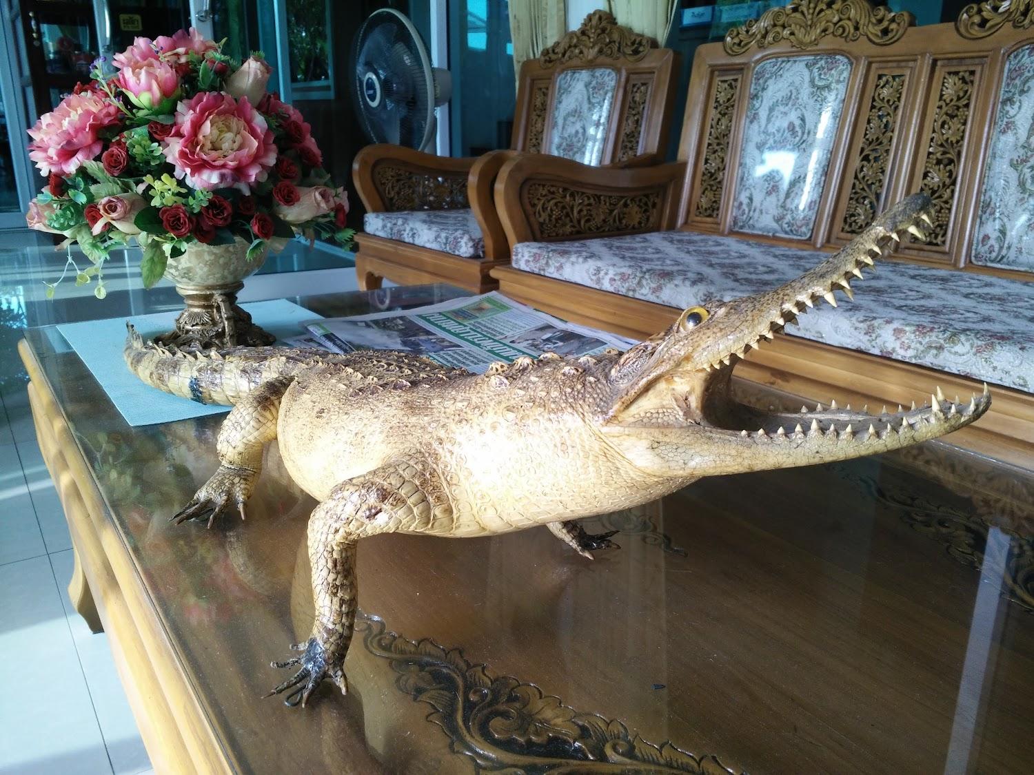 Cover Image for โรงแรม พฤกษา ธารา ปาร์ค แอนด์ รีสอร์ท