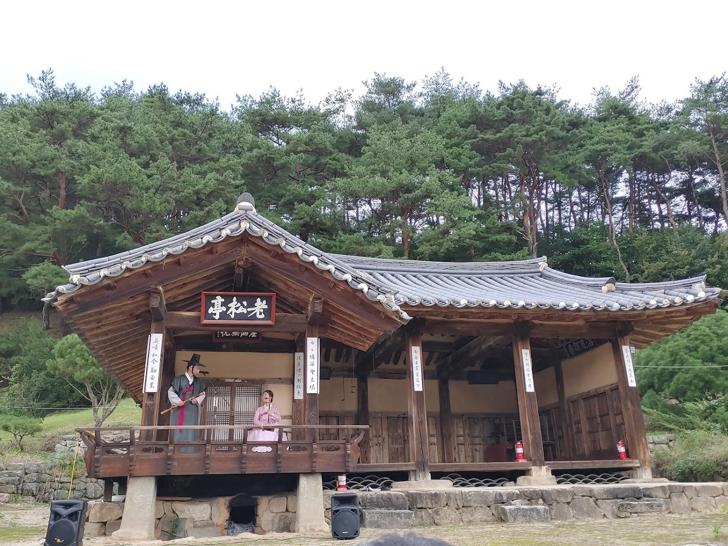 Cover Image for 노송정종택