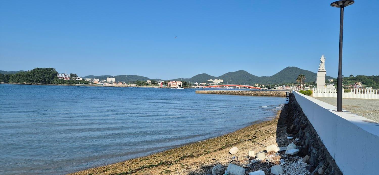 Cover Image for 아그네스 파크