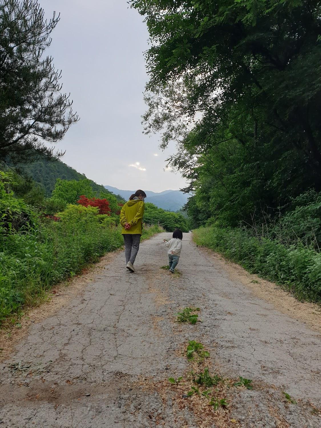 Cover Image for 하버하우스