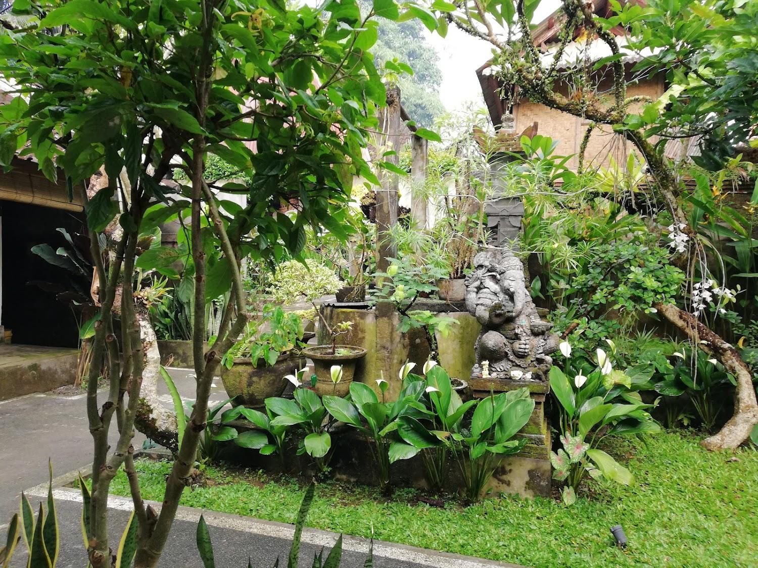 Cover Image for Rumah Keluarga Bali - Homestay