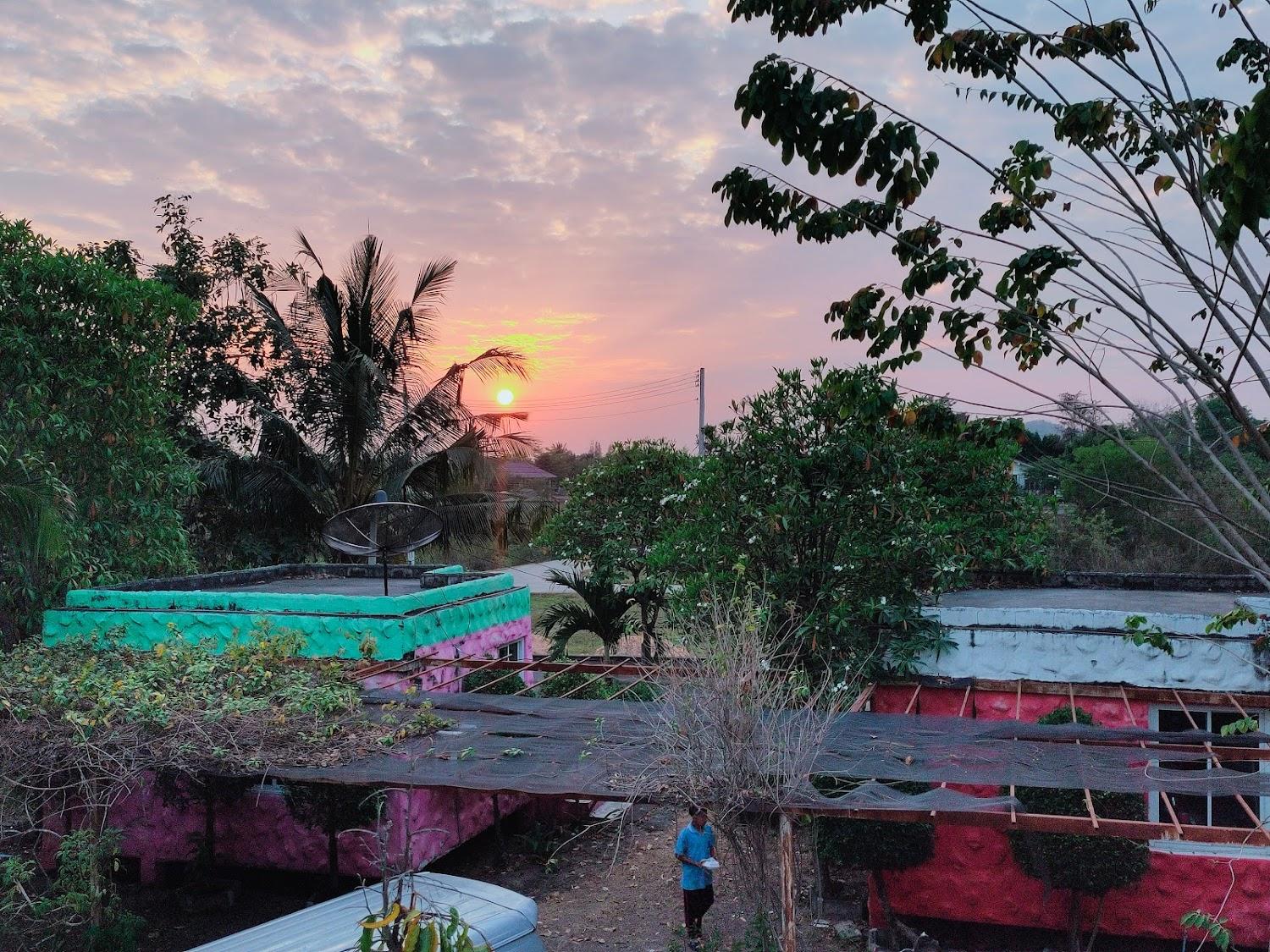 Cover Image for นกสวนรีสอร์ท