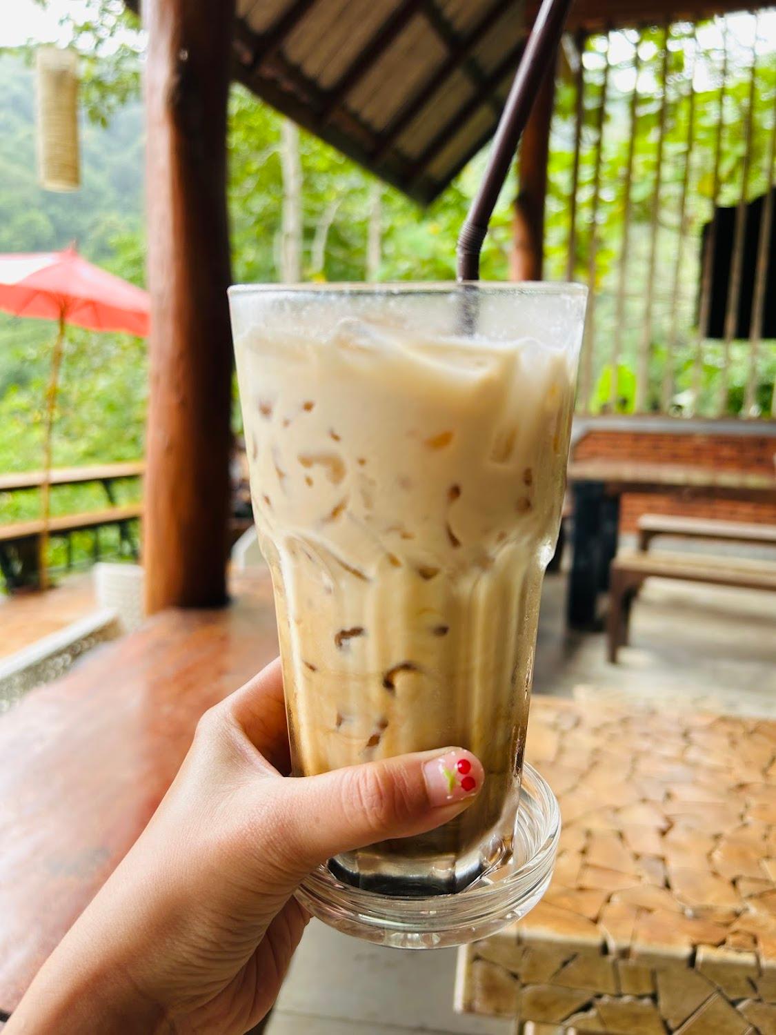 Cover Image for Doi Taeng Coffee