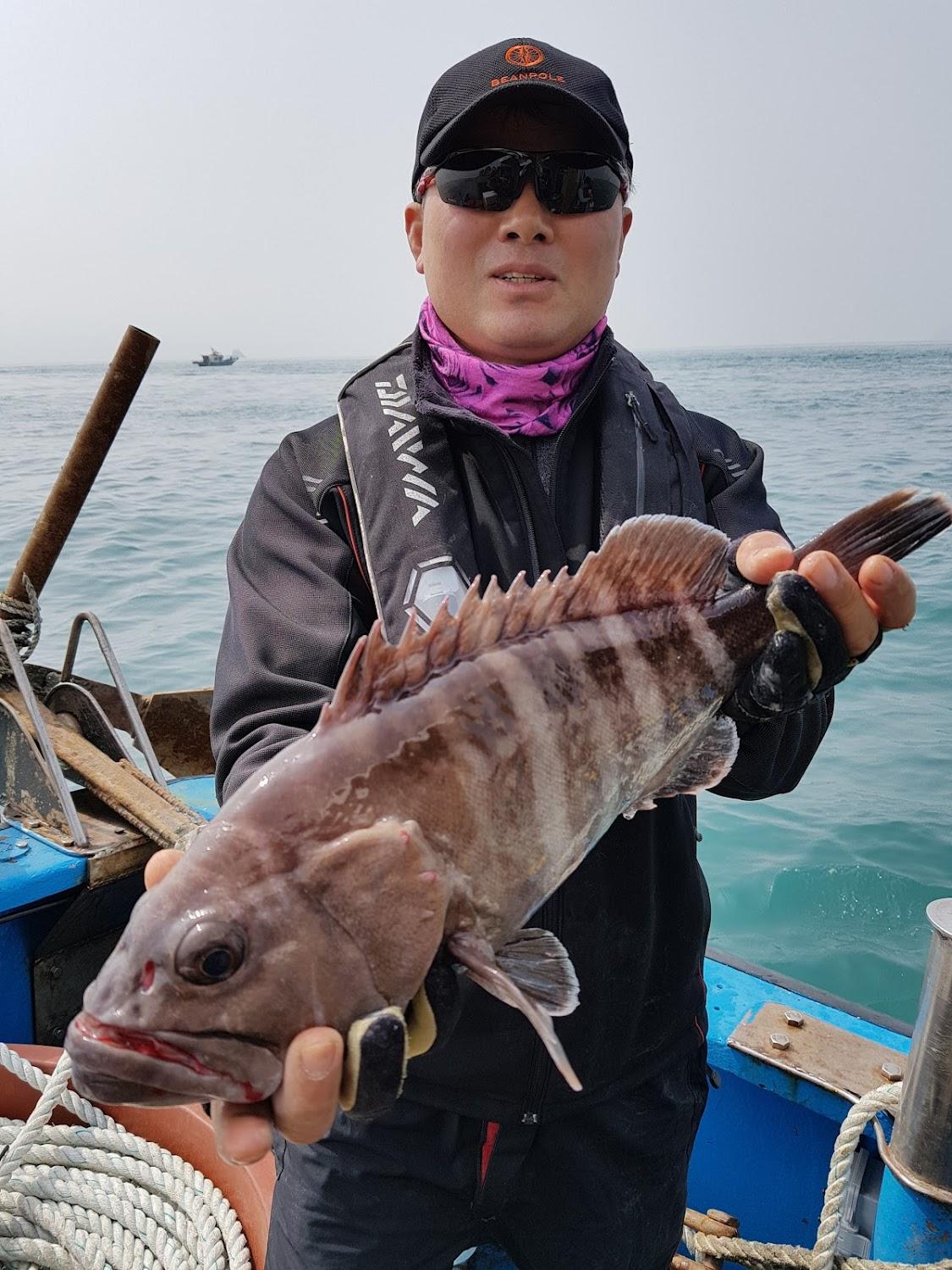 Cover Image for 조아라펜션