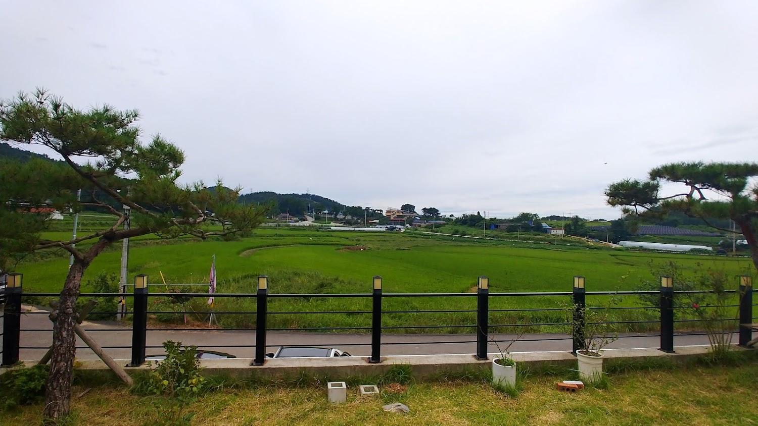 Cover Image for 익산파인트리