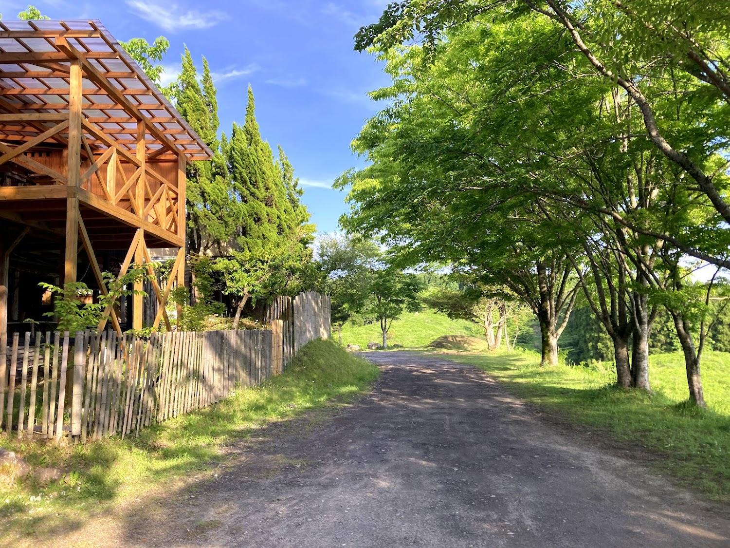Cover Image for Kurasako Onsen Sakura