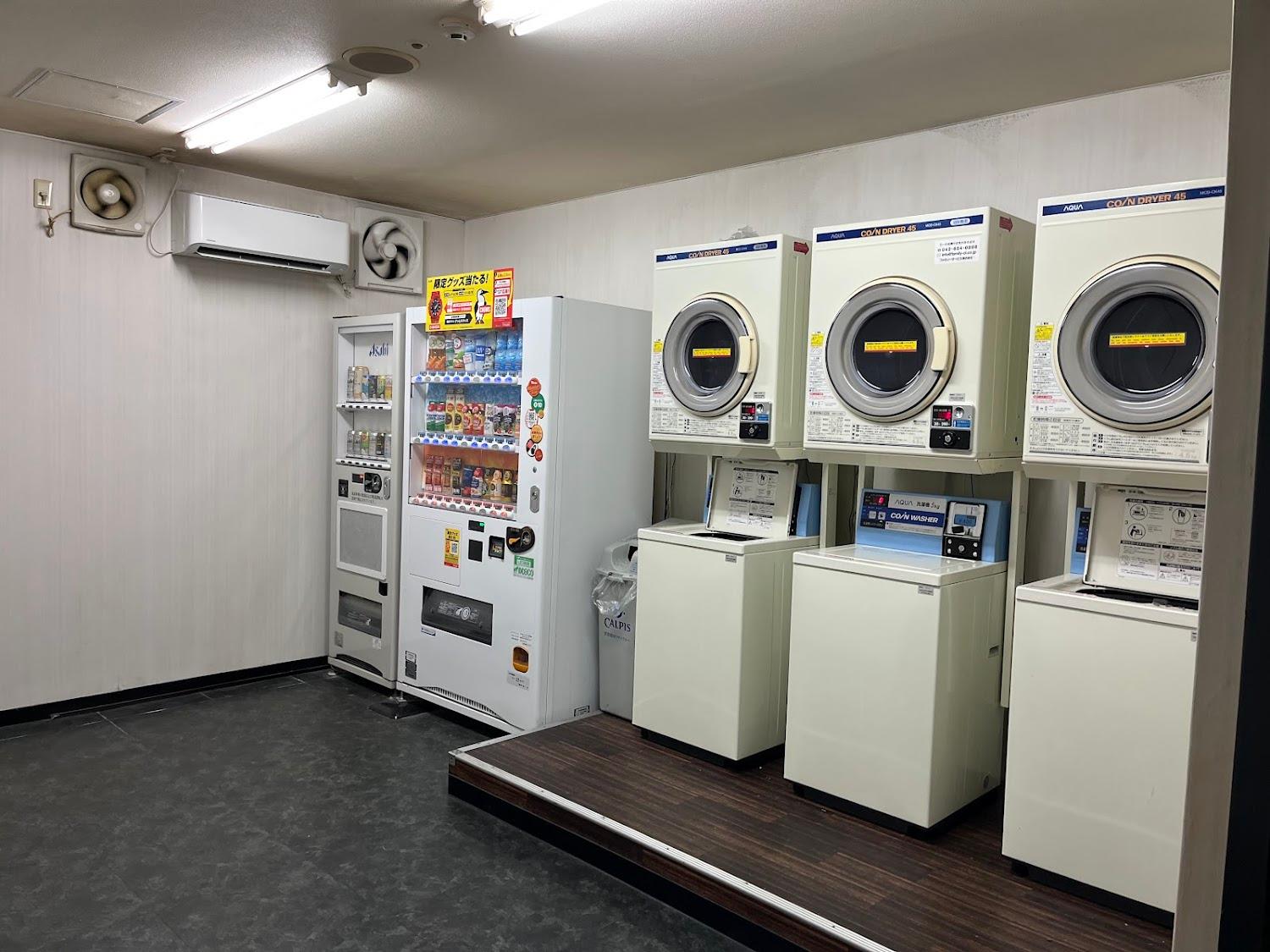 Cover Image for Green Rich Hotel Matsue Ekimae