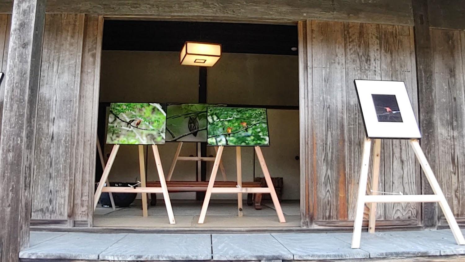Cover Image for Yazu Hatto Furusato-no-Mori Forest