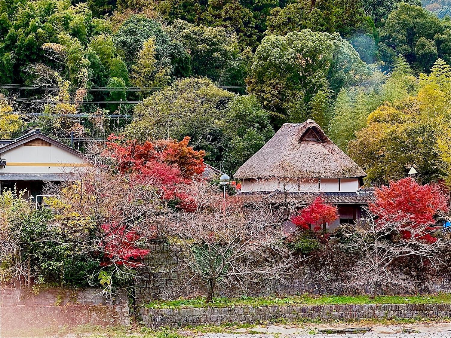 Cover Image for 洋々庵
