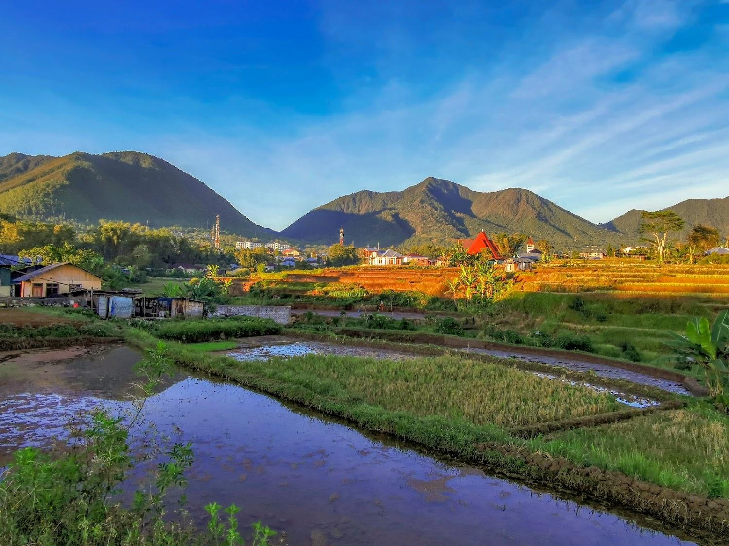 Cover Image for D-Rima Homestay