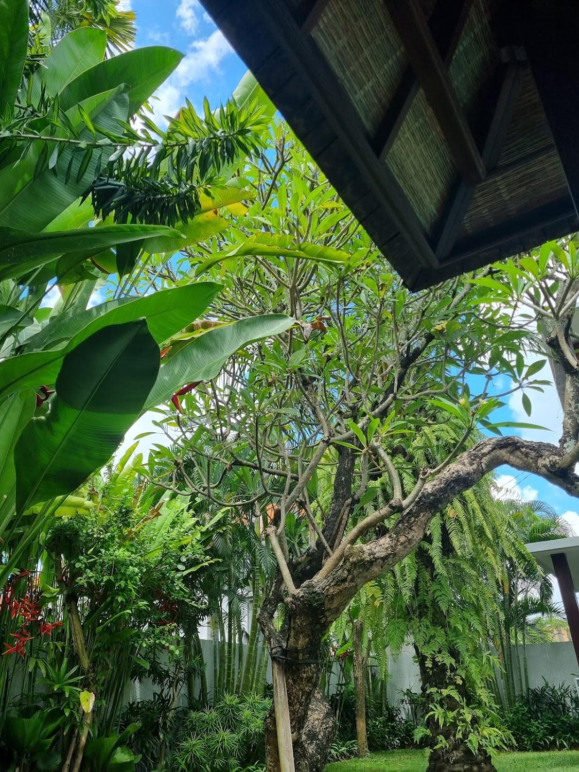 Cover Image for Loluan Villa