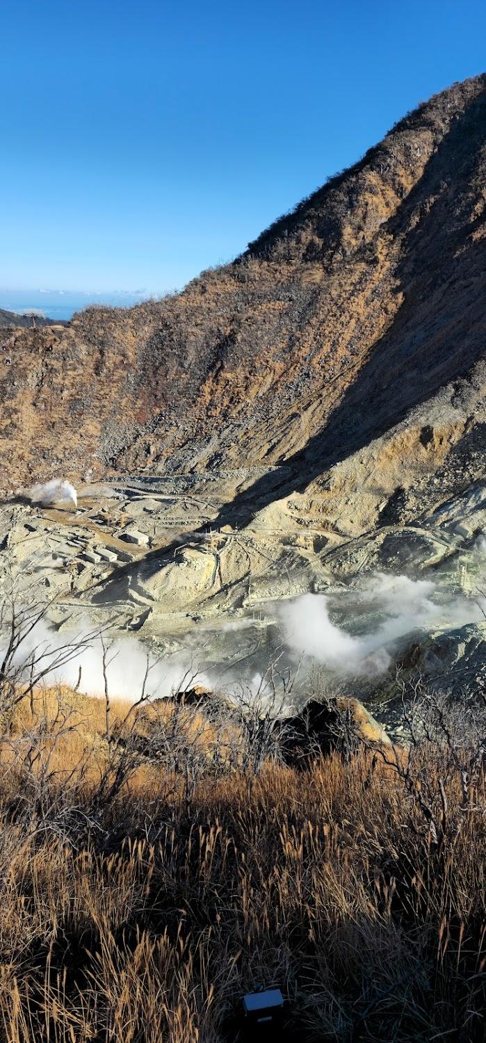 Cover Image for HAKONE NICA