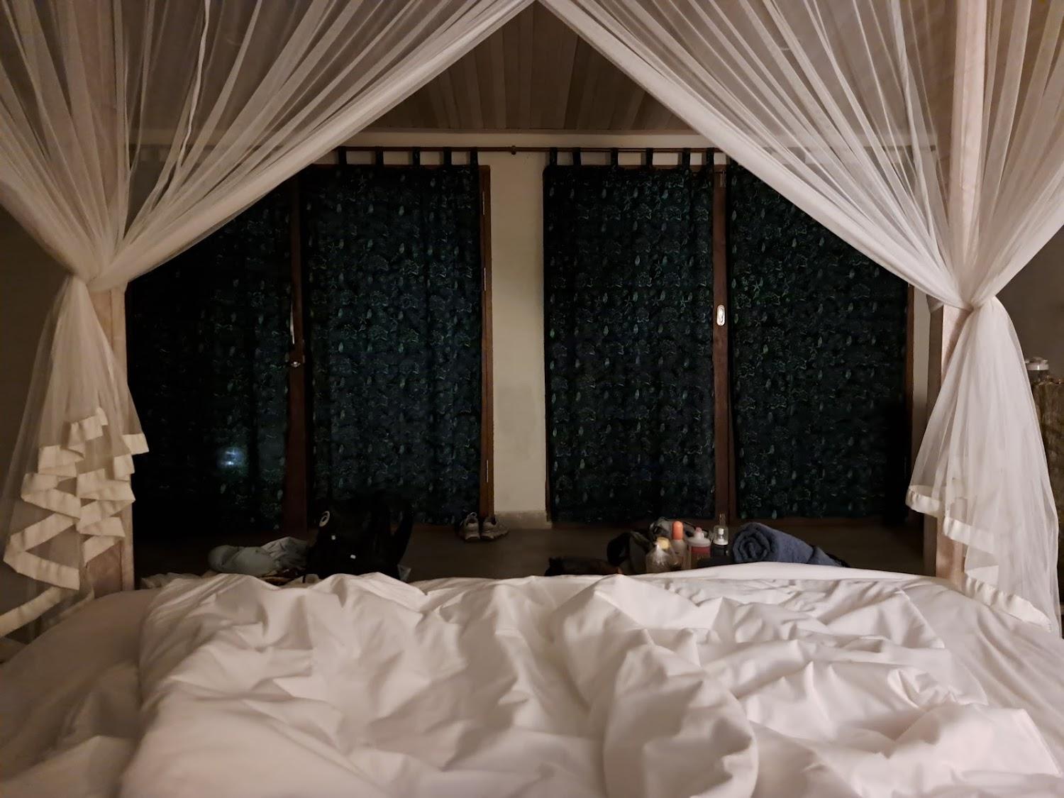 Cover Image for Thalassa Dive Resort Lembeh