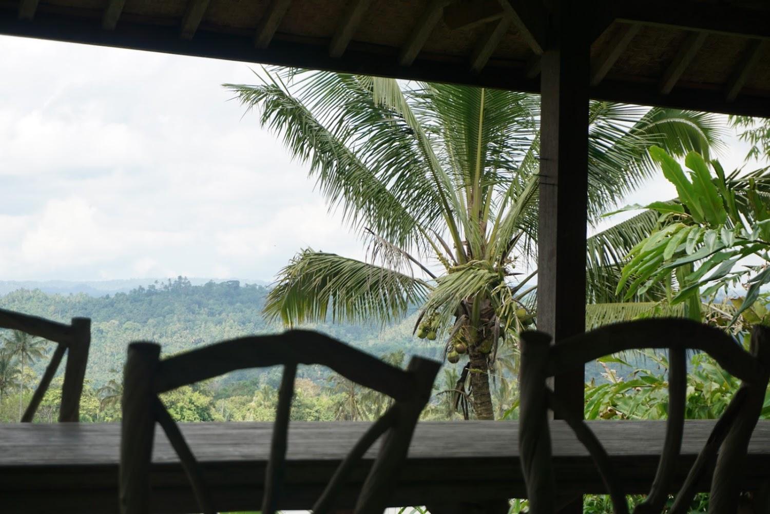 Cover Image for Temuku Pupuan