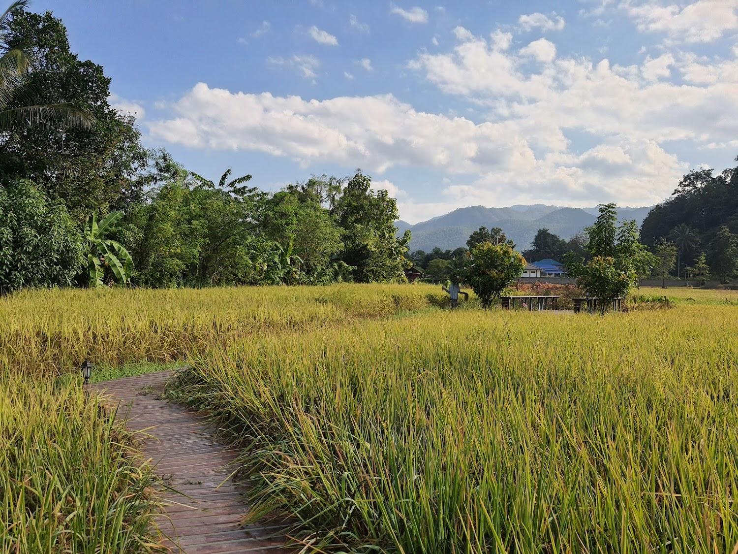 Cover Image for Jeerang Countryside Resort