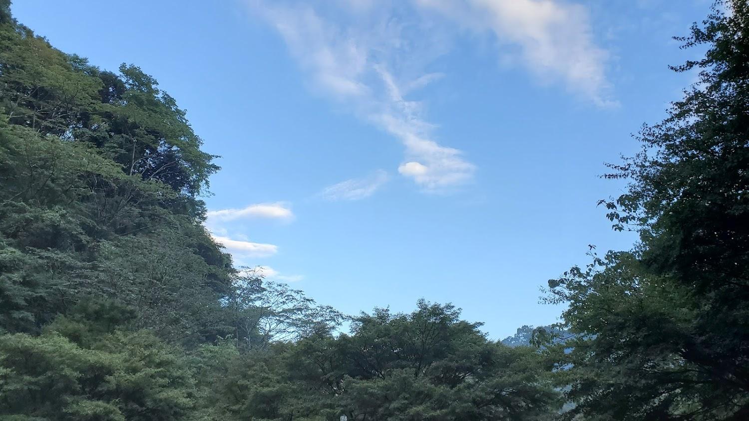 Cover Image for Kameyamako Auto Camping Ground
