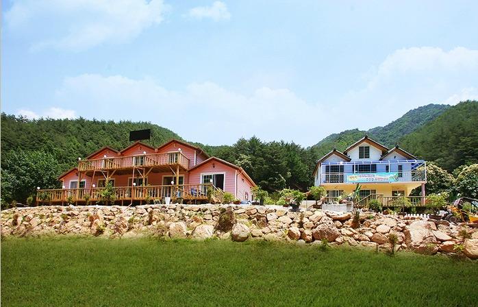 Cover Image for 데이지펜션