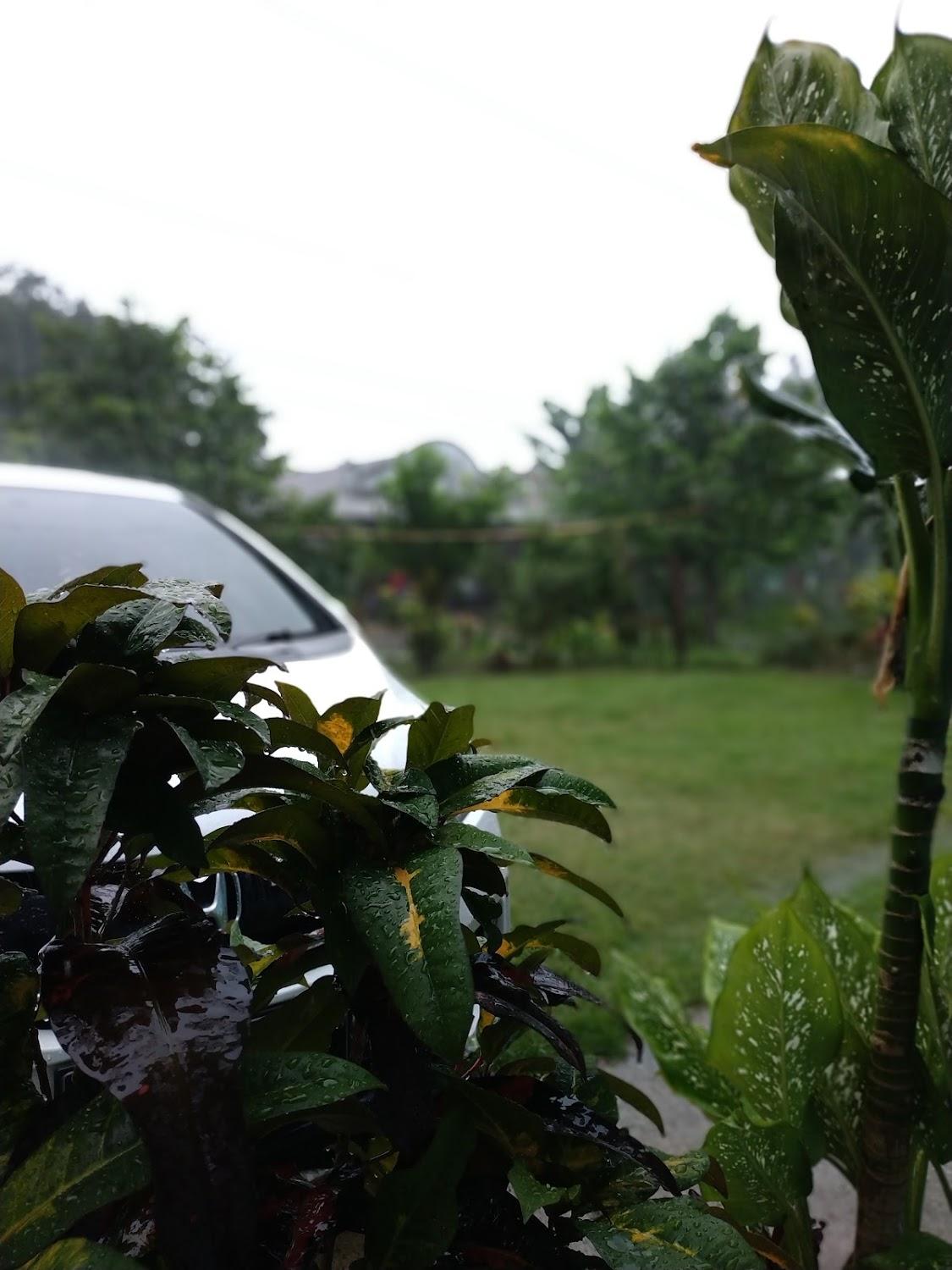 Cover Image for Jambu Merah Homestay