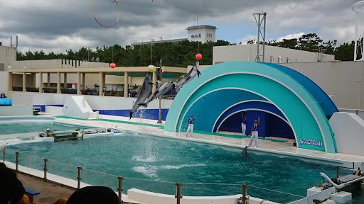 Cover Image for Kamogawa Sea World Hotel