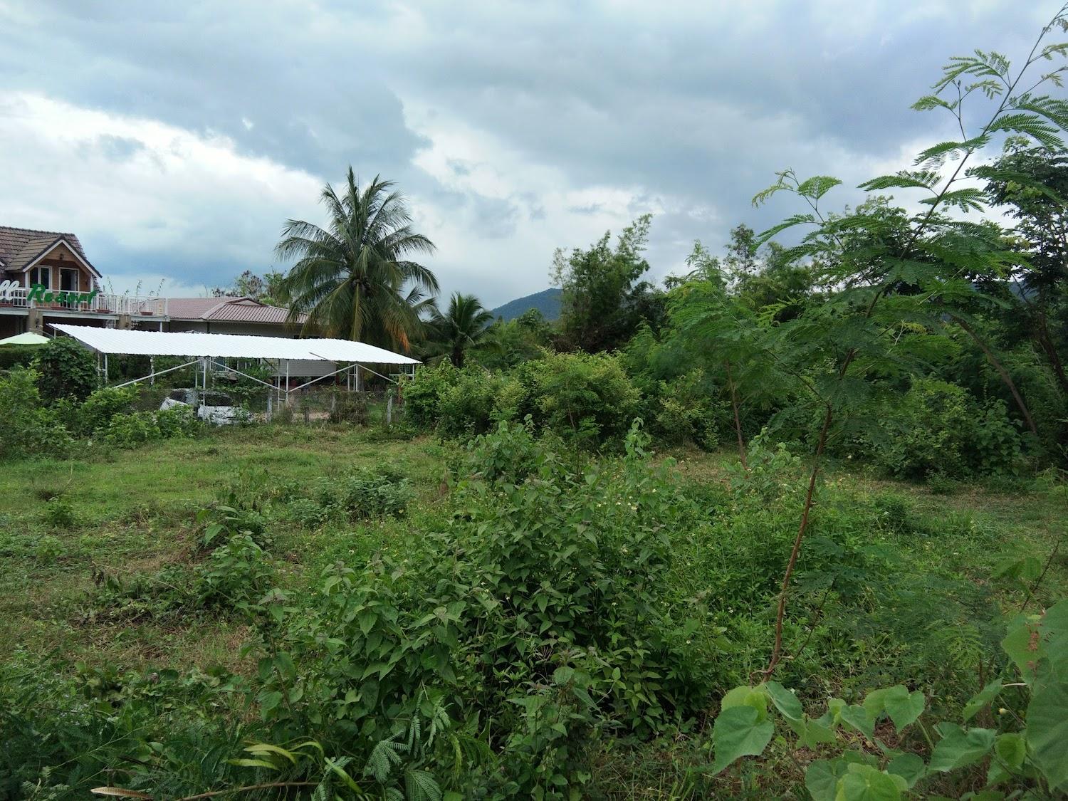 Cover Image for The Hill Resort